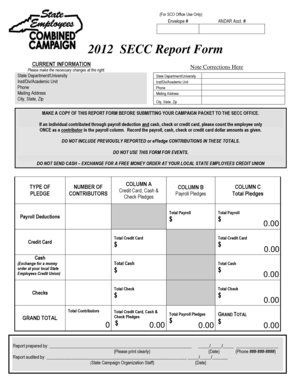 2012 SECC Report Form