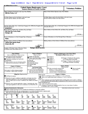 Voluntary Petition for Bankruptcy