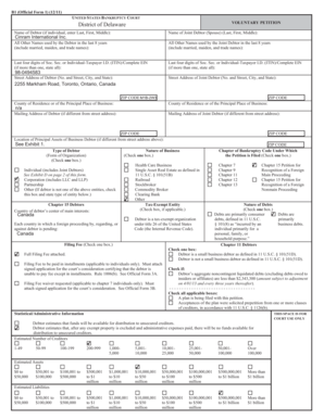 US Bankruptcy Court Voluntary Petition