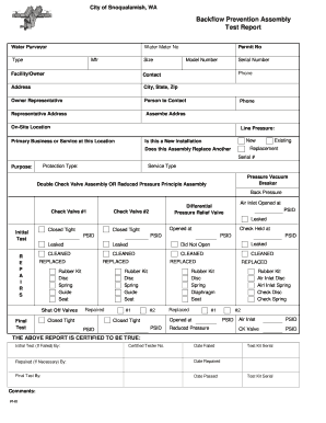 Backflow Prevention Assembly Test Report