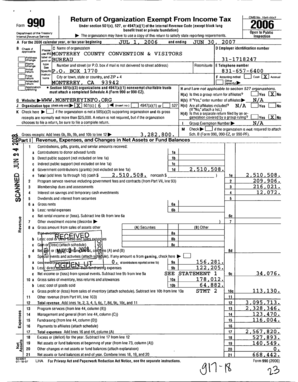 IRS Form 990 2006