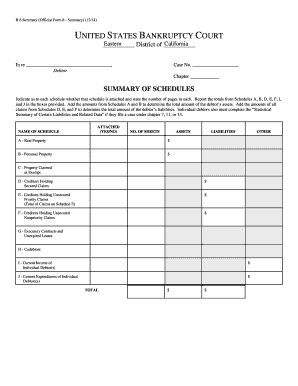 Bankruptcy Summary Form 6