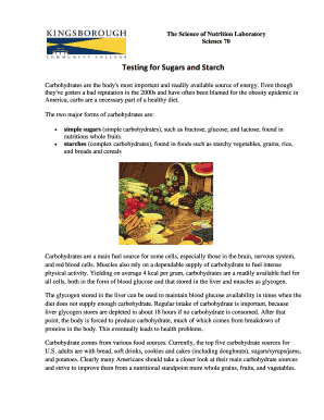 Science Lab Report on Carbohydrates