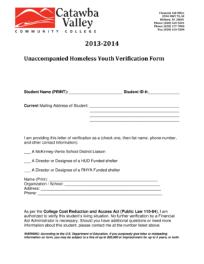 Unaccompanied Homeless Youth Verification Form