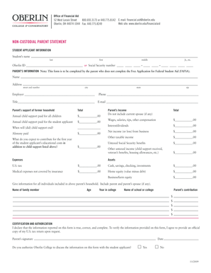Non-Custodial Parent Statement