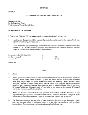 Affidavit of Assets and Liabilities