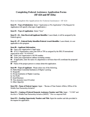 Federal Assistance Application Forms SF-424 and SF-424a