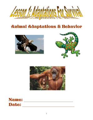 Animal Adaptations & Behavior Worksheet