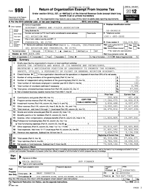 IRS Form 990 2012