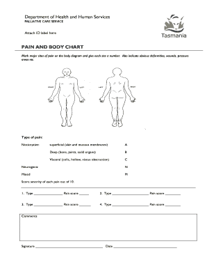 Palliative Care Pain and Body Chart