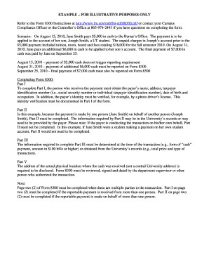 IRS Form 8300 Instructions