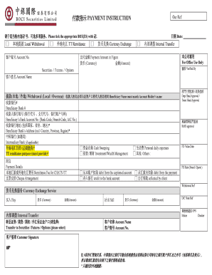 Payment Instruction Form