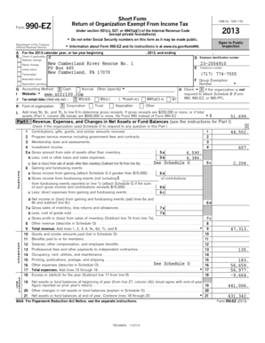 Form 990-EZ Tax Return