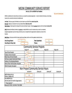 Community Service Report Form
