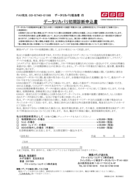 Data Recovery Initial Diagnosis Application Form