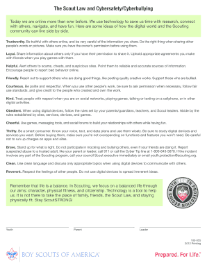 Boy Scouts Cyber Chip Internet Safety Pledge