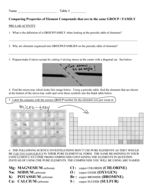 Science Lab Activity Form