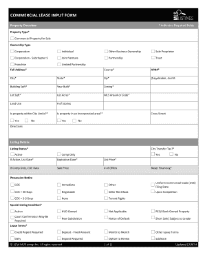 Commercial Lease Input Form