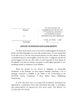 Pennsylvania Divorce Complaint Form