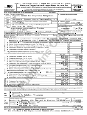 IRS Form 990 2013
