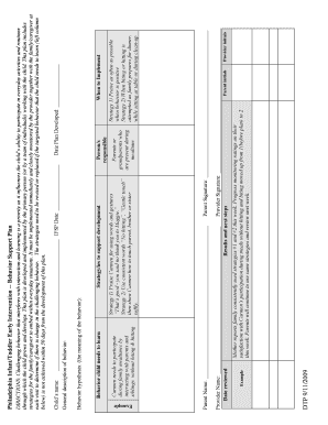 Philadelphia Infant Toddler Early Intervention Behavior Support Plan