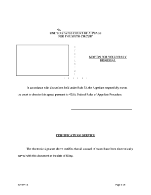 Motion for Voluntary Dismissal