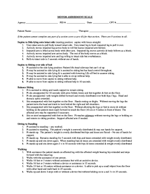 Motor Assessment Scale for Stroke Recovery