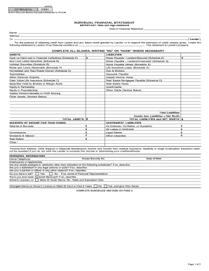Individual Financial Statement