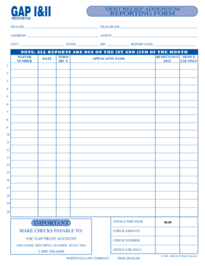 GAP II Debt Relief Addendum Reporting Form