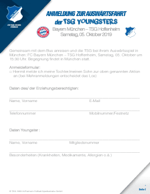 Fillable Online TSG YOUNGSTERS - TSG Hoffenheim Fax Email Print - pdfFiller