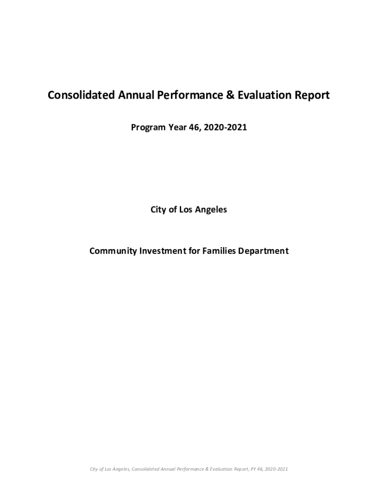 Fillable Online CONSOLIDATED ANNUAL PERFORMANCE EVALUATION REPORT Fax