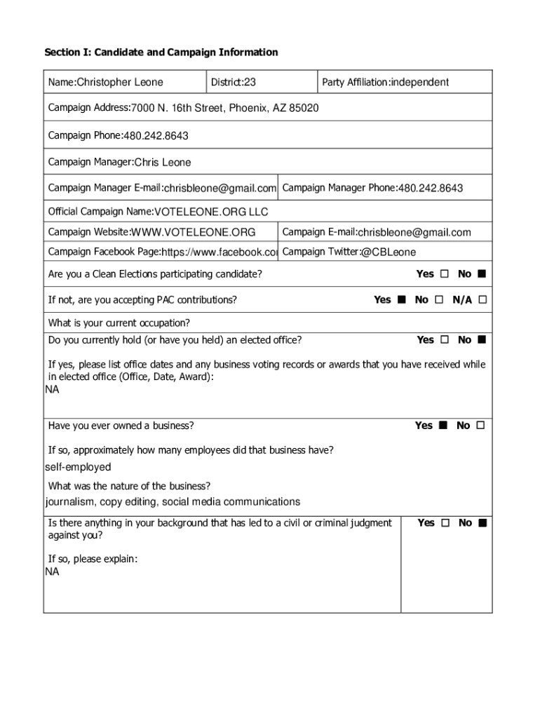 Form preview