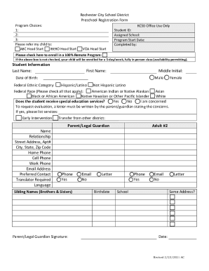 Form preview