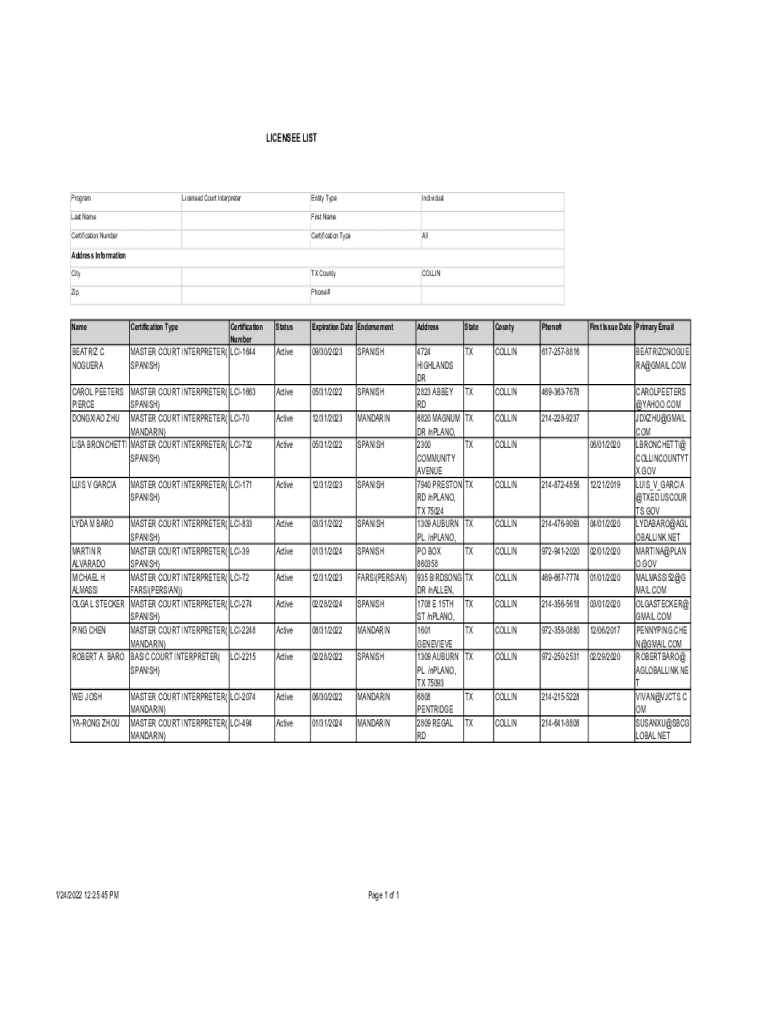 Form preview