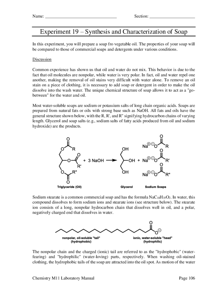 Fillable Online (DOC) Lab report SOAPS AND DETERGENT.docxEisya Azhari