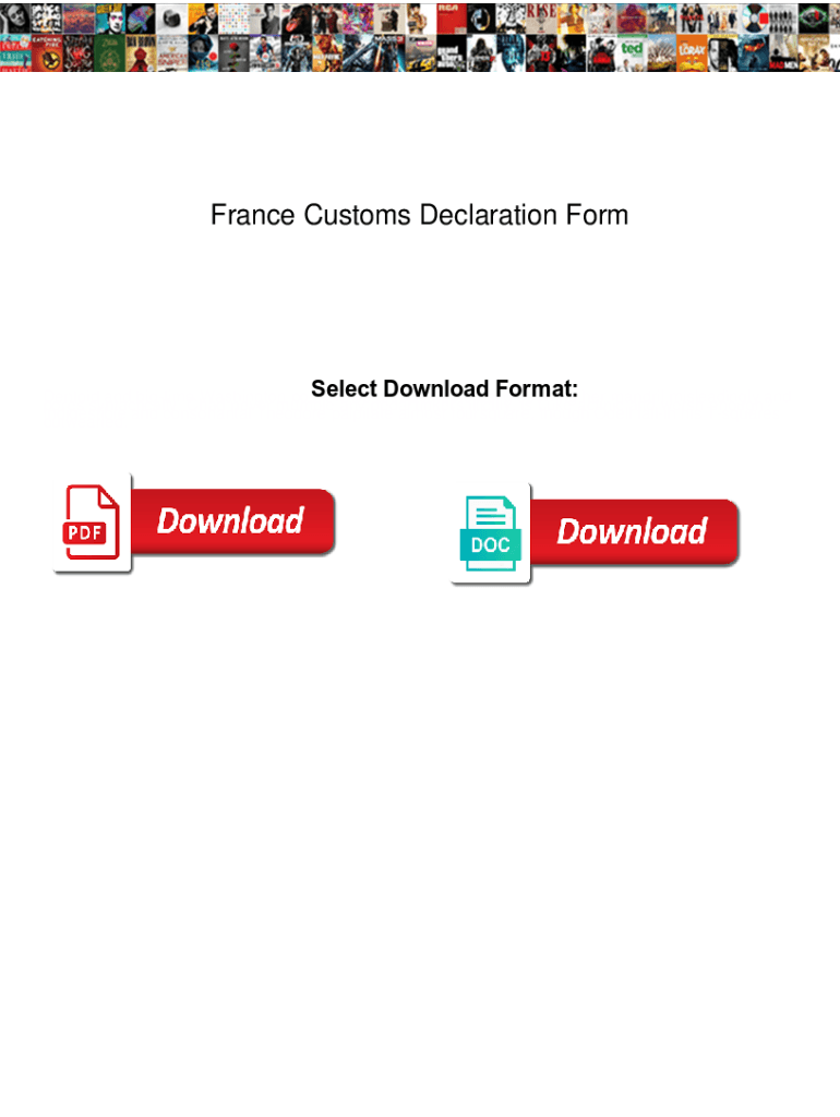 Fillable Online France Customs Declaration Form. France Customs ...