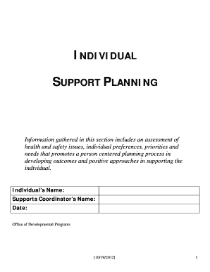 Individual Support Planning Form