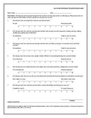 Bournemouth Questionnaire