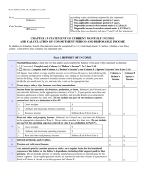 Chapter 13 Statement of Current Monthly Income