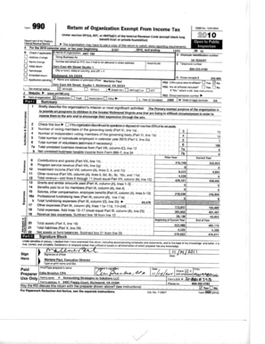 IRS Form 990 2010
