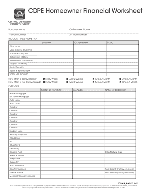 CDPE Homeowner Financial Worksheet