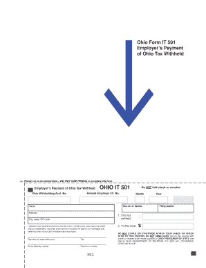 Ohio Form IT 501