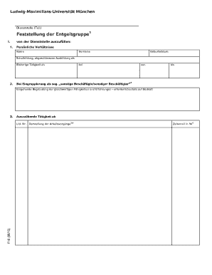 Formular zur Feststellung der Entgeltgruppe