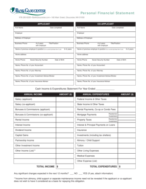 Personal Financial Statement Form