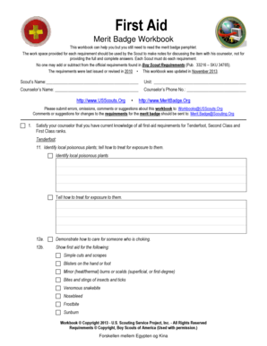 First Aid Merit Badge Workbook