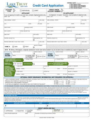 Visa Credit Card Application Form