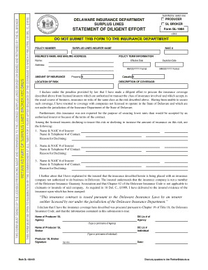Delaware Surplus Lines Insurance Statement of Diligence