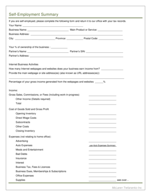 Self-Employment Summary Form