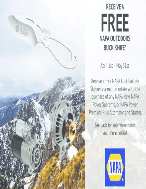 NAPA Auto Parts Rebate Form