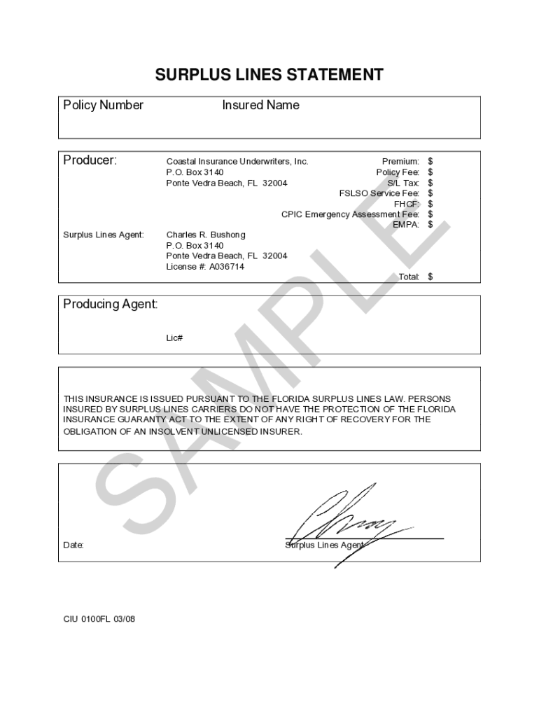 Fillable Online vv.storyblank.bar270SURPLUS LINES STATEMENT Coastal Insurance Underwriters